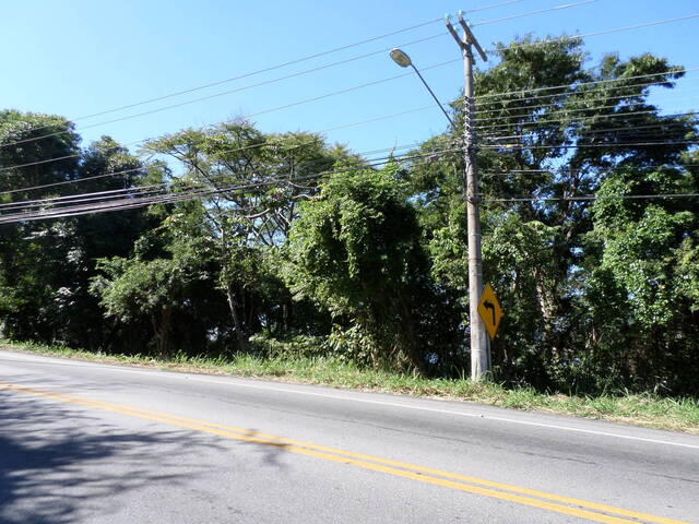 Área para Venda em Florianópolis - 5